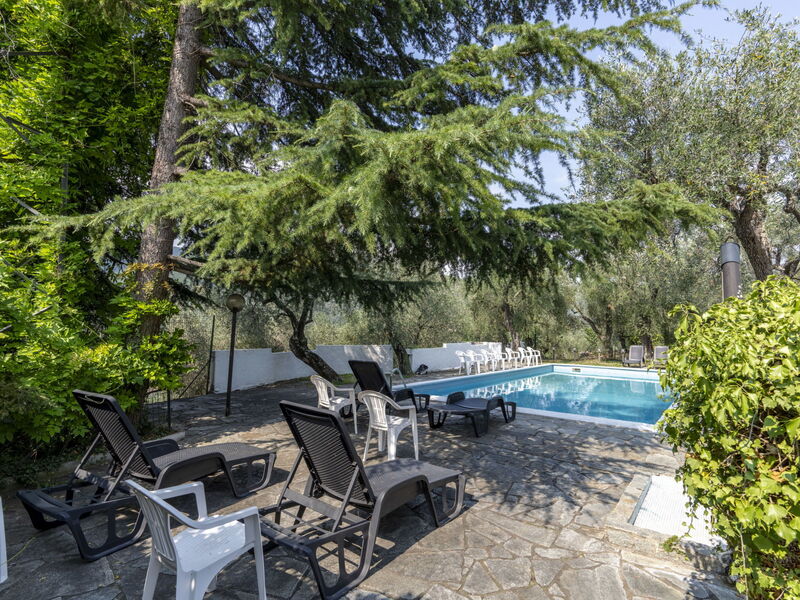 Accommodation:&nbsp;Ulivo 615.2