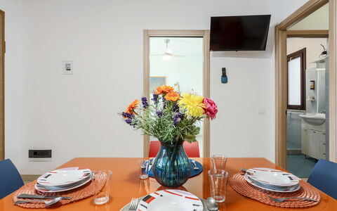 Carlo Gaia 165: Table, Flower, Plant, Tableware, Furniture, Picture Frame, Vase, Building, Decoration, Textile