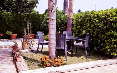 Casa Larauri Oliva Nova: Water, Plant, Swimming Pool, Tree, Shade, Outdoor Furniture, Leisure, Rectangle, Composite Material, Landscape