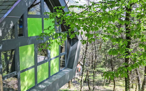 Bosco della Bella 6: Garden, Woodland, Garden Buildings, Shade, Jungle, Shed, Log Cabin, Backyard