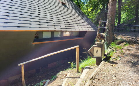 Bosco della Bella 6: Plant, Building, Window, Tree, Wood, Grass, Shade, Slope, House, Tints And Shades