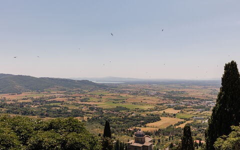 Casa Novecento: Sky, Plant Community, Ecoregion, Highland, Tree, Plant, Mountain, Natural Landscape, Cloud, Atmospheric Phenomenon