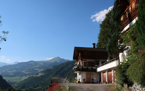 Chalet Bergnest: Flower, Plant, Plant Community, Sky, Botany, Petal, Nature, Mountain, Natural Landscape, Vegetation