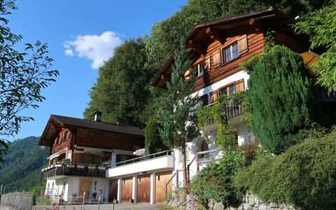 Chalet Bergnest: Flower, Plant, Plant Community, Sky, Botany, Petal, Nature, Mountain, Natural Landscape, Vegetation
