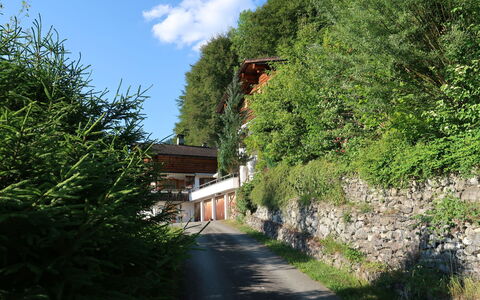 Chalet Bergnest: Flower, Plant, Plant Community, Sky, Botany, Petal, Nature, Mountain, Natural Landscape, Vegetation