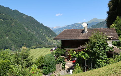 Chalet Bergnest: Flower, Plant, Plant Community, Sky, Botany, Petal, Nature, Mountain, Natural Landscape, Vegetation