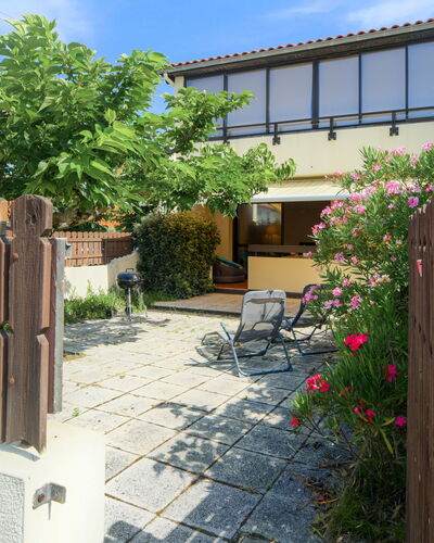 Palombe