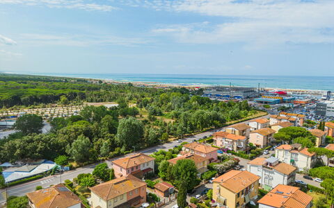 Villa Margherita: Flower, Plant, Plant Community, Sky, Botany, Petal, Nature, Mountain, Natural Landscape, Vegetation