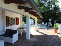 Pupa House