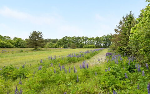 Inguna: Grassland, Meadow, Land Lot, Plant Community, Prairie, Field, Nature Reserve, Wildflower, Pasture