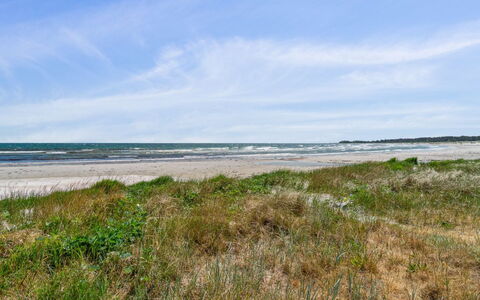 Riitta - 250M from the Sea: Vegetation, Shrub, Spring, Cottage, Garden, Shade, Backyard, Yard, Chair