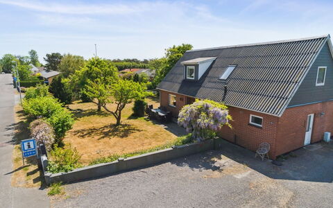 Angelie - 350M from the Sea: Vegetation, Shrub, Spring, Cottage, Garden, Shade, Backyard, Yard, Chair