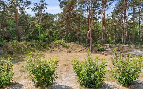 Sjo - 300M from the Sea: Roof, House, Land Lot, Home, Cottage, Estate, Garden Buildings, Shade, Log Cabin, Landscaping