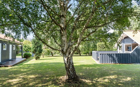 Dorti - 725M from the Sea: Grass, Leaf, Garden, Shade, Lawn, Backyard, Woody Plant, Yard, Twig, Landscaping