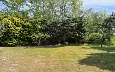 Konrad - 700M from the Sea: Leaf, Shrub, Garden, Woody Plant, Lawn, Shade, Landscaping, Evergreen, Yard