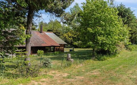 Konrad - 700M from the Sea: Tree, Grass, Natural Environment, Shrub, Cottage, Rural Area, House, Land Lot, Grassland