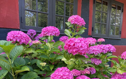 Elvin - 2.7Km from the Sea: Roof, Home, Door, Cottage, Shade, Siding, Yard, Estate, Backyard
