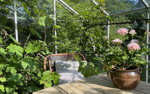 Elvin - 2.7Km from the Sea: Roof, Home, Door, Cottage, Shade, Siding, Yard, Estate, Backyard