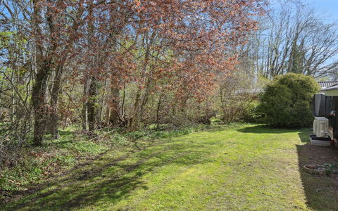 Arnetta - 150M from the Sea: Leaf, Branch, Shrub, Land Lot, Groundcover, Twig, Lawn, Woody Plant, Garden
