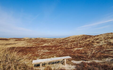 Hilmer - 250M from the Sea: Blue, Natural Environment, Ecoregion, Horizon, Grassland, Landscape, Plain, Brown, Plant Community, Steppe
