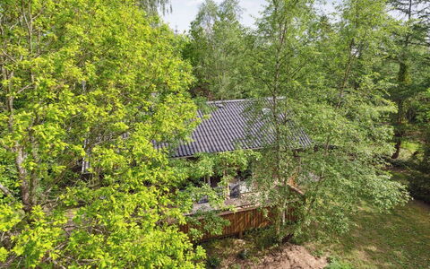 Herta: Tree, Leaf, Natural Environment, Branch, Wood, Vegetation, Shrub, Plant Community, Twig, Spring
