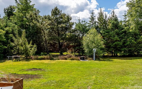 Anelisa - 1.2Km from the Sea: Tree, Grass, Shrub, Garden, Land Lot, Lawn, Meadow, Park, Landscaping, Shade