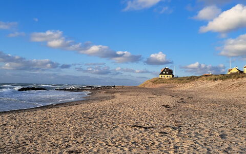 Falk - 900M from the Sea: Interior Design, Ceiling, Apartment, Flooring, Furniture, Floor, Room, Lighting, Home, Couch
