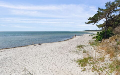 Anly - 250M from the Sea: Roof, Home, Door, Cottage, Shade, Siding, Yard, Estate, Backyard