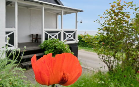 Scarlet - 5M from the Sea: Shrub, Cottage, Groundcover, Garden, Porch, Shade, Yard, Lawn, Landscaping, Backyard