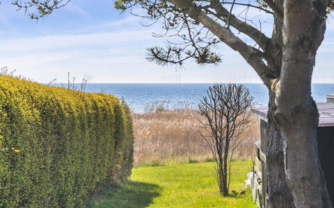 Gisella - 200M from the Sea: Grass, Grassland, Landscape, Ecoregion, Plain, Plant Community, Land Lot, Outdoor Furniture, Prairie, Shrubland