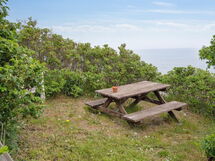 Quanna - 50M from the Sea