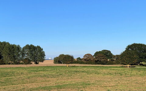 Dana - 525M from the Sea: Sky, Blue, Daytime, Grass, Green, Tree, Natural Environment, Grassland, Nature, Natural Landscape