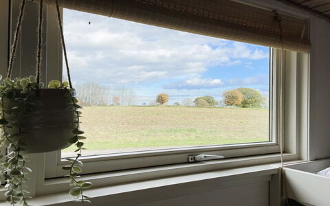 Dana - 525M from the Sea: Roof, Home, Door, Cottage, Shade, Siding, Yard, Estate, Backyard