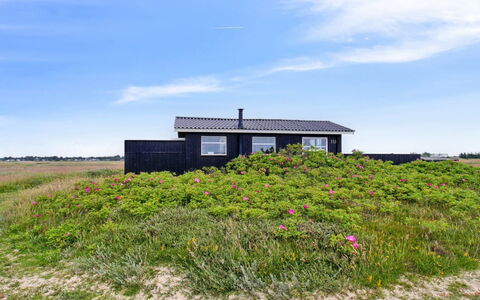 Inka - 100M from the Sea: House, Home, Cottage, Estate, Yard, Farmhouse, Siding, Garden Buildings, Porch