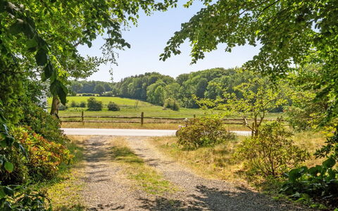 Kennet - 30M from the Sea: Green, Tree, Leaf, Grass, Nature, Natural Landscape, Vegetation, Shrub, Road