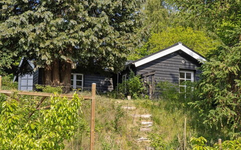 Teijo - 2.5Km from the Sea: Leaf, Branch, Shrub, House, Cottage, Home, Rural Area, Spring, Garden, Shade