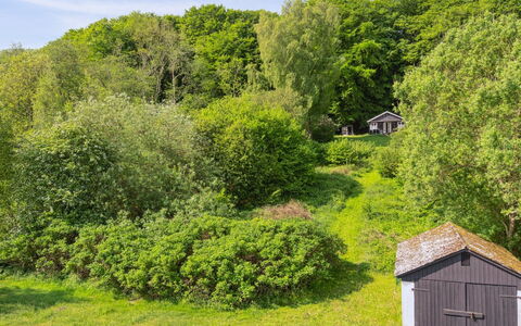 Ginne - 100M to the Fjord: Grass, Green, House, Cottage, Grassland, Rural Area, Ecoregion, Landscape, Land Lot, Shrub