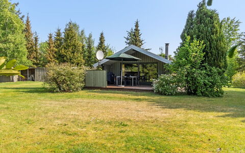 Winter - 500M from the Sea: Tree, Grass, Shrub, House, Land Lot, Home, Cottage, Garden, Lawn