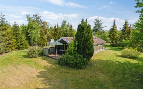Winter - 500M from the Sea: Grass, Shrub, Land Lot, Cottage, Rural Area, Plain, Home, Larch, Garden, Lawn
