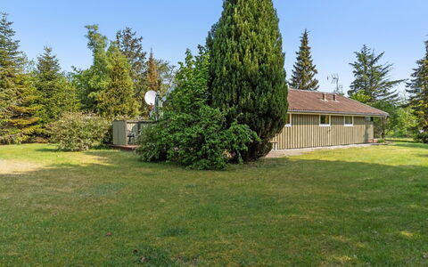 Winter - 500M from the Sea: Tree, Grass, Leaf, Shrub, Landscape, Land Lot, Plain, Home, Lawn, Cottage