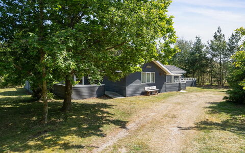 Aneline - 700M from the Sea: Grass, Green, House, Cottage, Grassland, Rural Area, Ecoregion, Landscape, Land Lot, Shrub