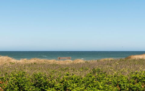 Minka - 58M from the Sea: Blue, Water, Green, Horizon, Summer, Sea, Ecoregion, Coast, Grassland