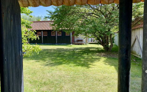 Henke - 100M from the Sea: Roof, Land Lot, Shade, Rural Area, Backyard, Lawn, Garden, Cottage, Yard, Landscaping