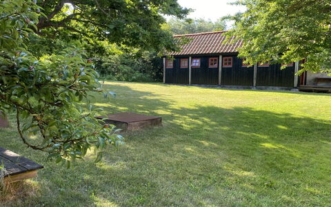 Henke - 100M from the Sea: Grass, Tree, Land Lot, Lawn, Garden, Rural Area, Groundcover, Shade, Backyard