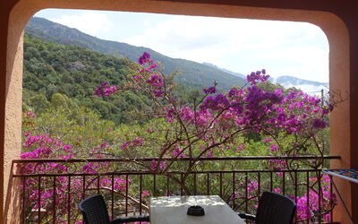 Accommodation:&nbsp;Residence Cabanaccia Studio 35M² 300.5