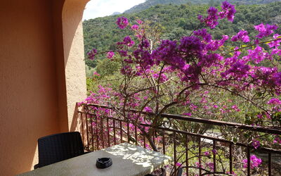 Accommodation:&nbsp;Residence Cabanaccia Studio 35M² 300.5