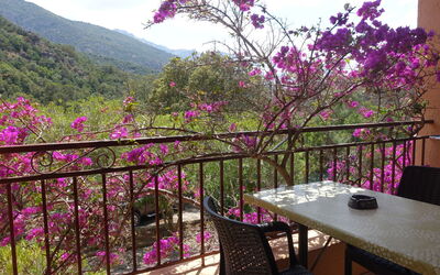 Accommodation:&nbsp;Residence Cabanaccia Studio 35M² 300.5