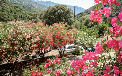 Accommodation:&nbsp;Residence Cabanaccia 3 Pieces 6 Pers 300.2