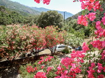 Accommodation:&nbsp;Residence Cabanaccia 3 Pieces 6 Pers 300.3