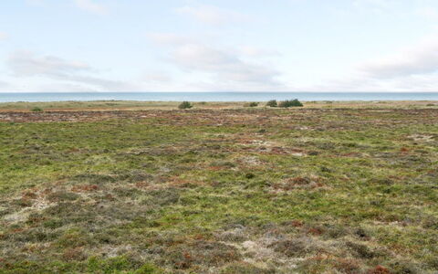 Matild - 800M from the Sea: Wood, Home, Porch, Deck, Hardwood, Roof, Wood Stain, Wood Flooring, Eco Hotel